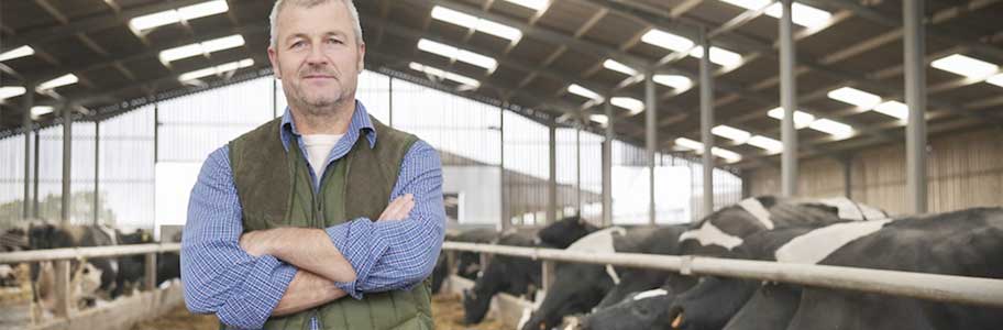 Modernising Dairy Farm with MilkingCloud