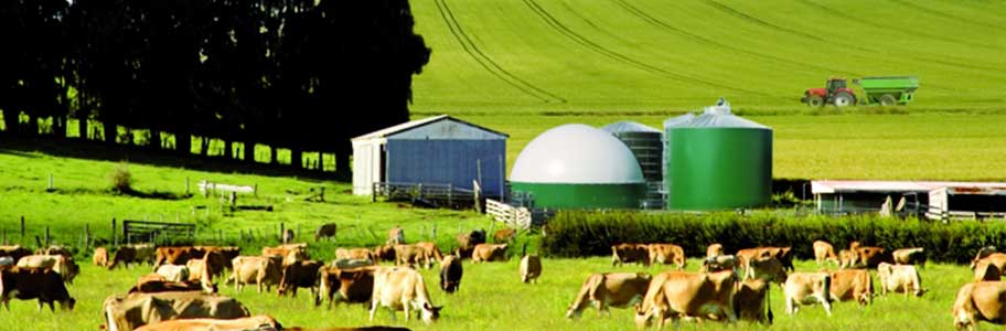 Greenhouse Gas At Cattle Farming Operations