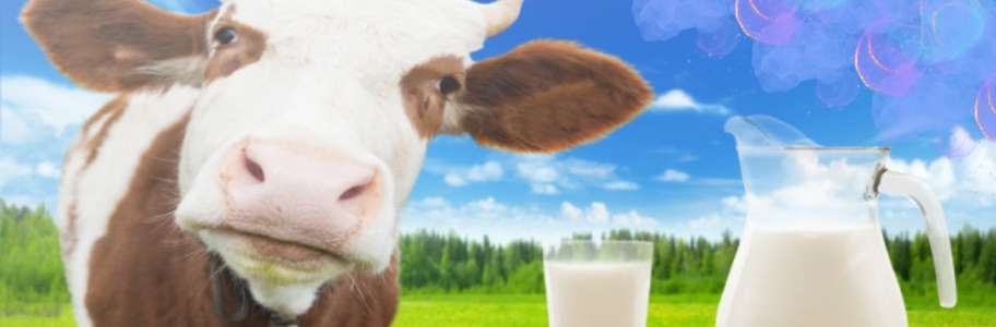 How Many Liters of Milk Does a Cow Give Per Day?