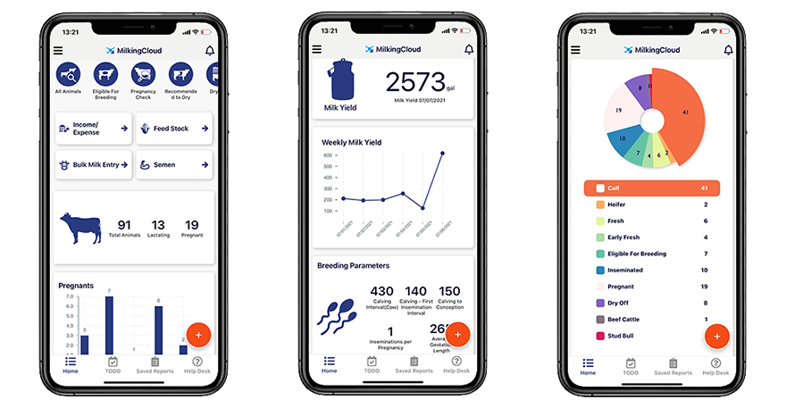 Mobile Cattle Monitoring App