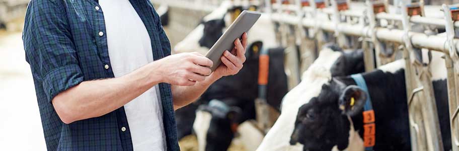 Cattle Tracking Software with 5 Key Features | milkingcloud.com