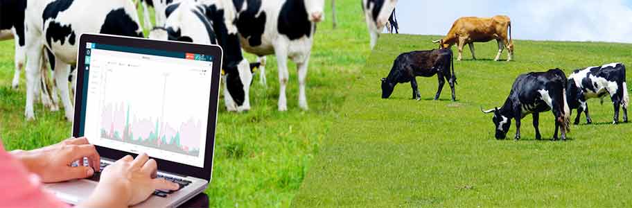 Why do Breeding Operations need Herd Management Systems?