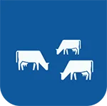 Herd-Based Records