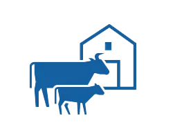 Cow Calving monitoring