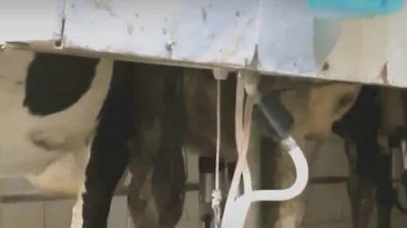 Cómo instalar 2