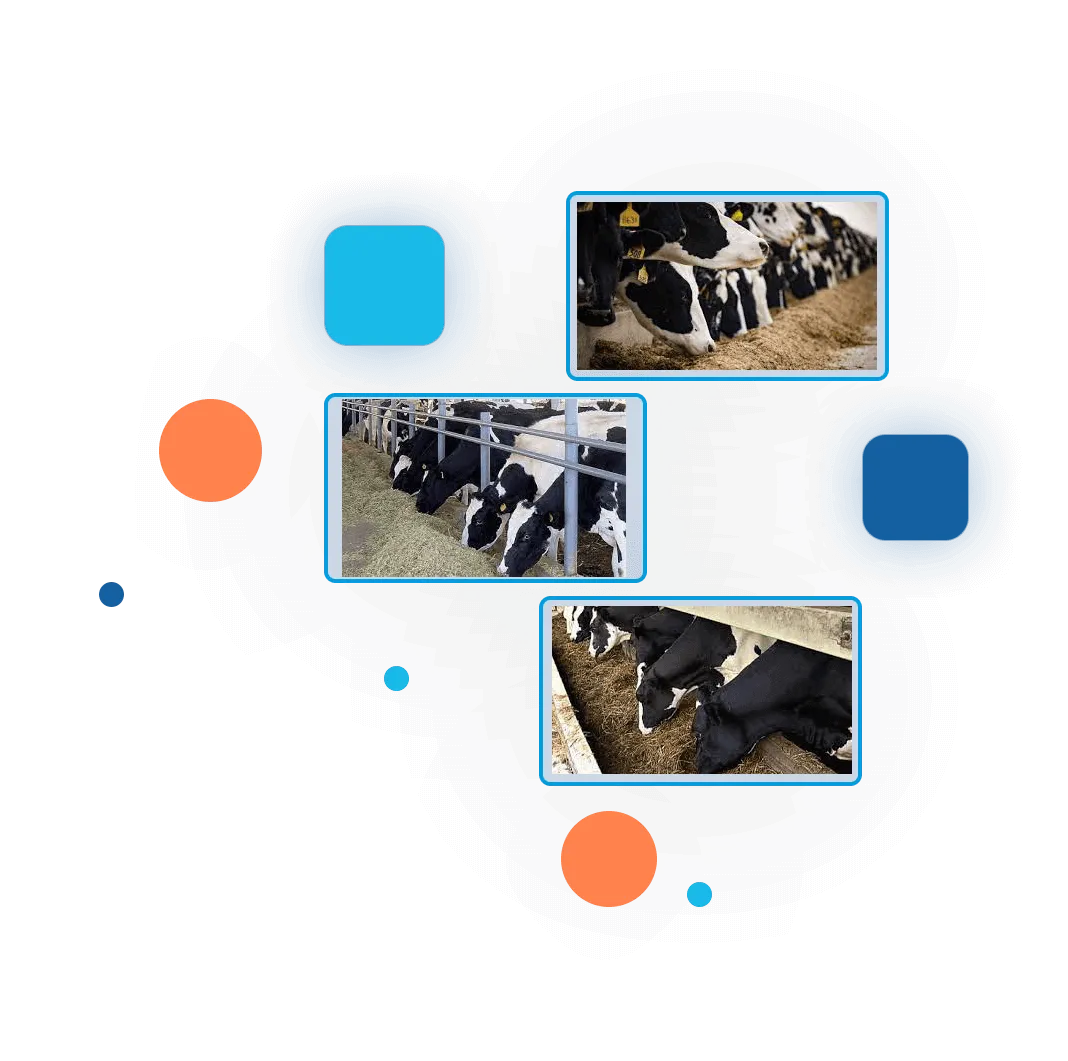 История закупки и расхода кормов