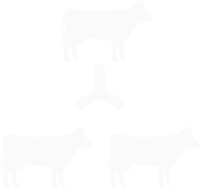 Командная работа