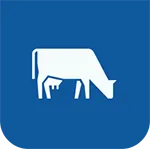 Индивидуальные записи