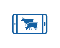 Панель обзора стада