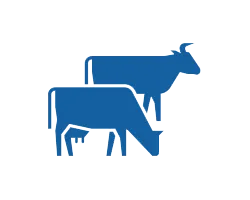 Программа контроля веса скота