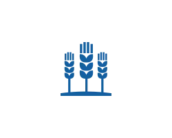 Применение рациона и управление запасами кормов