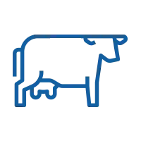 Рацион для молочных коров