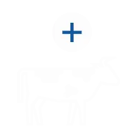 Добавьте животных в список