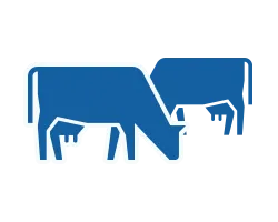 Программа управления стадом