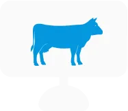 Управление временем