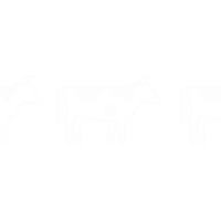 Посмотрите рекомендованный список животных