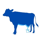 Молочная ферма