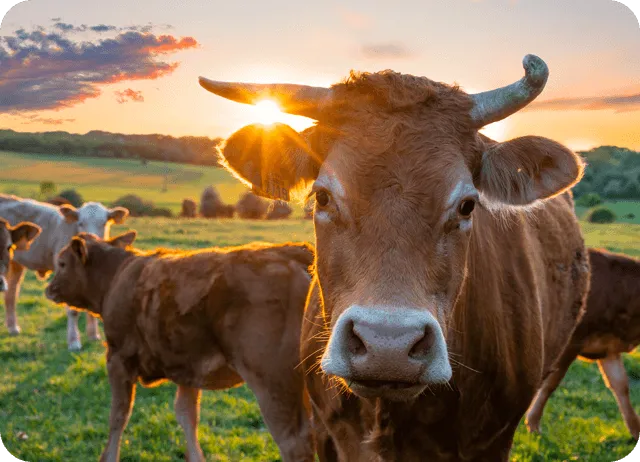 Отслеживать важные задачи с помощью напоминаний очень легко.