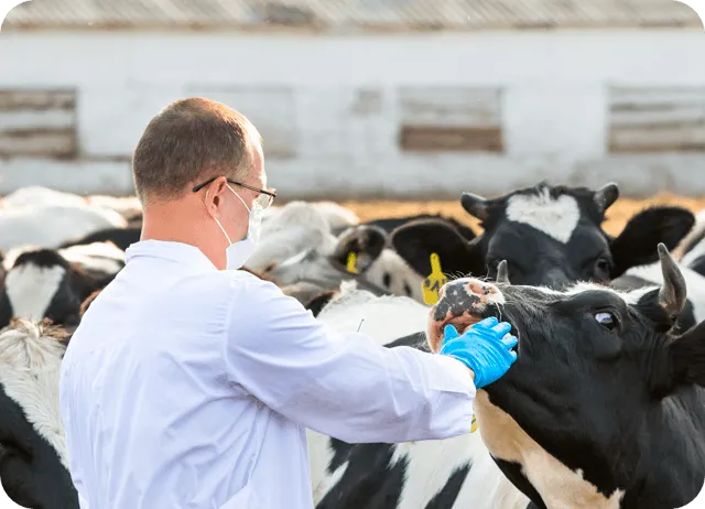 Рекомендации по применению выбранных вакцин